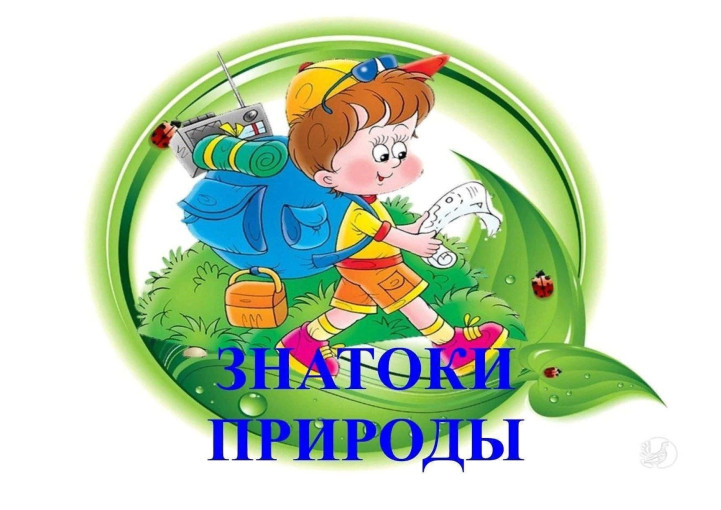 Игра-викторина "Знатоки природы" Игра-викторина "Знатоки природы".